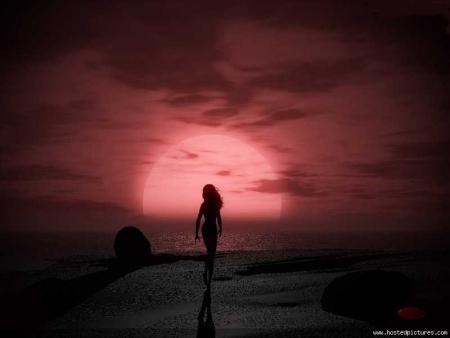 ////////////